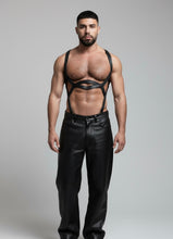 Load image into Gallery viewer, Arnés XCX