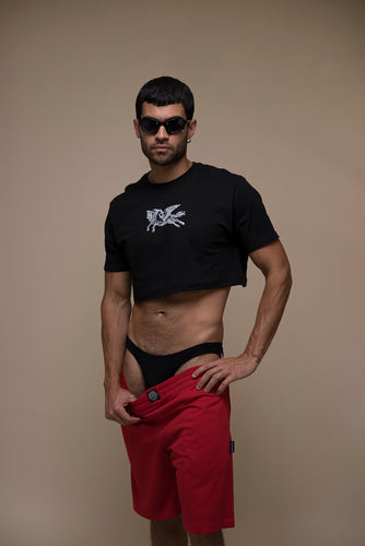 Camiseta Crop Pegasso (Negro)
