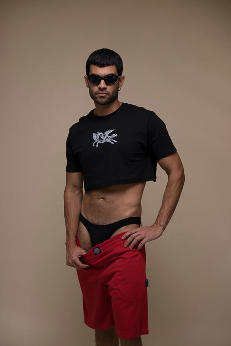 Camiseta Crop Pegasso (Negro)