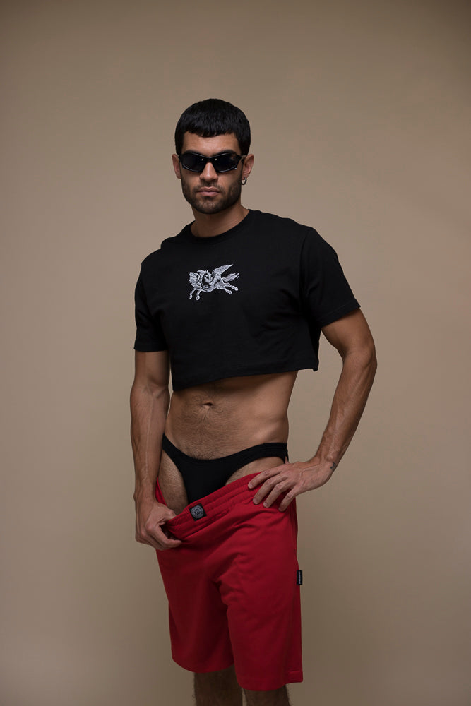 Camiseta Crop Pegaso (Negro)